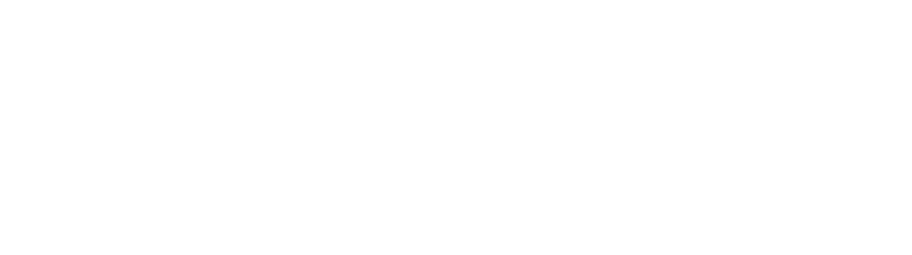 Vincentz & Co.